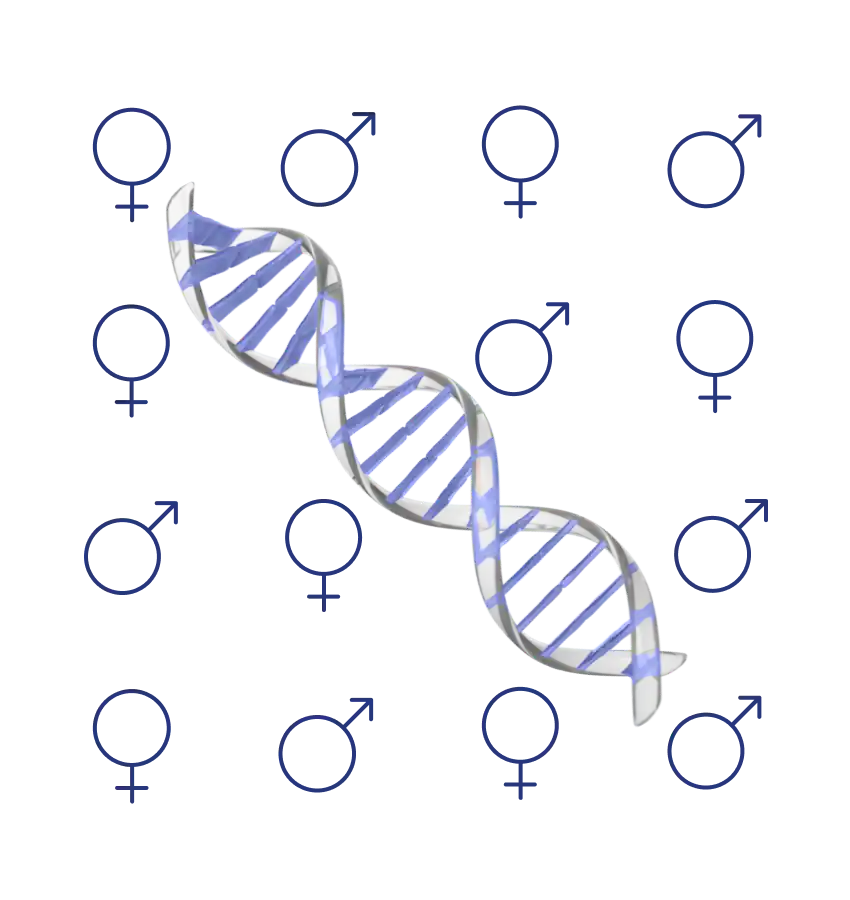 quiz-gender
